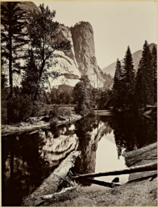 Read more about the article Muir, John My First Summer in the Sierra