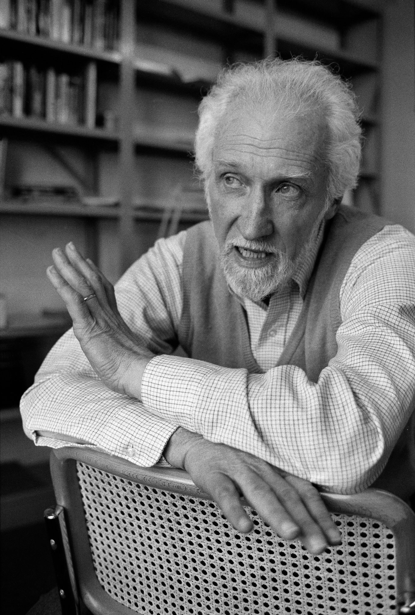 Read more about the article Sheldon Wolin The Presence of the Past