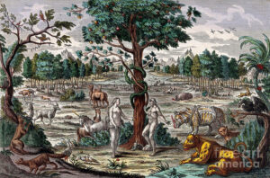 garden of eden illustration c 1780 science source