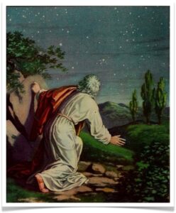 Read more about the article Max Weber Politics as a Vocation