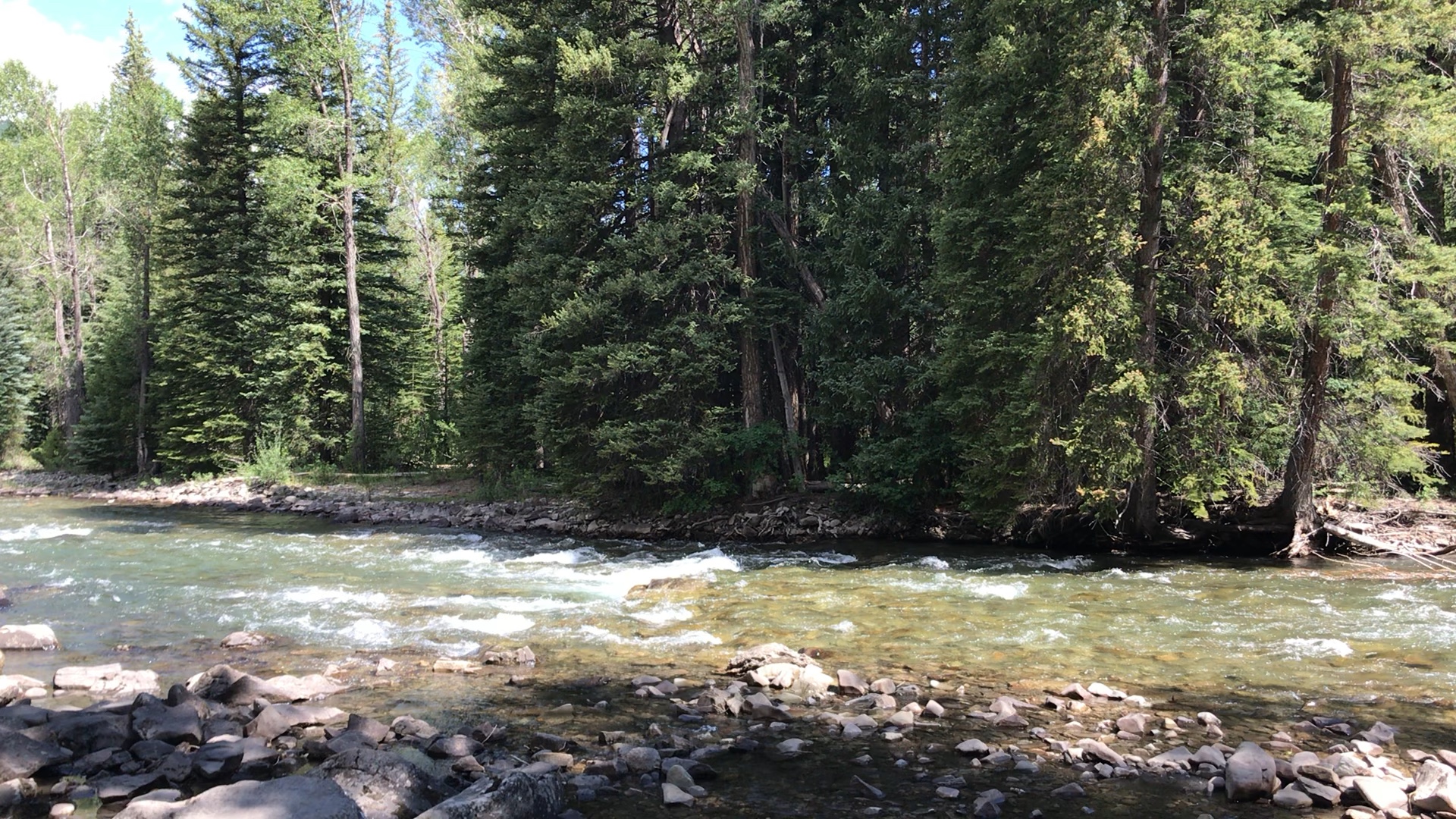 Read more about the article Pre-Socratics