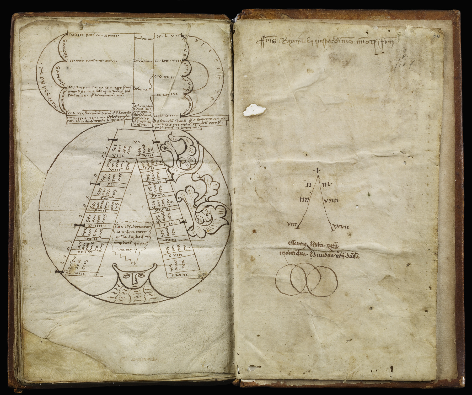 Timaeus Roper Plato, Timaeus – Baiting the Bear