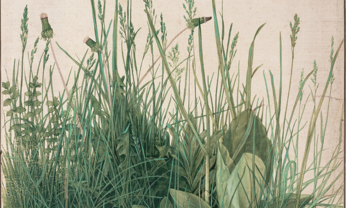 Read more about the article Pinkard, Terry  Hegel’s Naturalism: Mind, Nature, and the Final Ends of Life