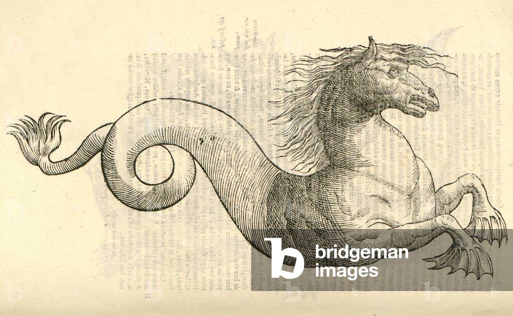 Aldrovandi, Ulisse. Monstrorum historia: cum Paralipomenis historiae omnium animalium. Edited by Bartolomeo Ambrosini. Bologna: Typis Nicolai Tebaldini, 1642.